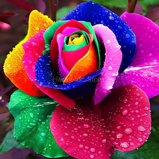 742d56392cd4db58bbd