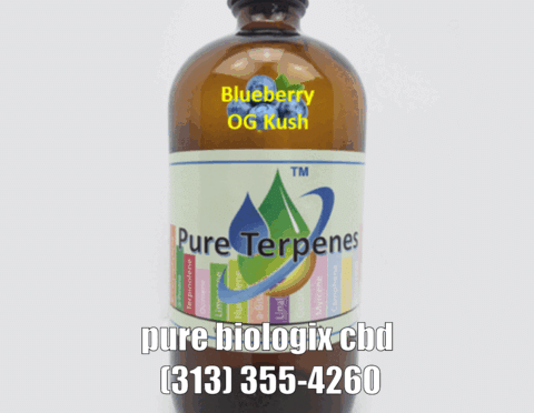 blueberry-og.gif